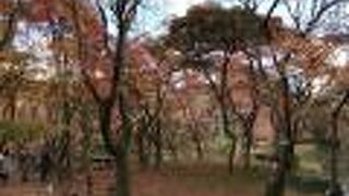 日本最古の公立総合植物園