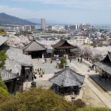 三井寺観音堂より山上へ～