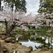 桜の時期に