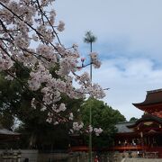 山の上まで階段で登りました。