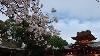 山の上まで階段で登りました。