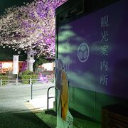 「岡崎の桜まつり」期間中の、延長営業日に訪問