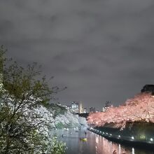 遠くに東京タワーも見えます