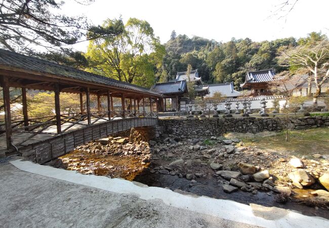 うっそうとした木々に囲まれ、静寂で雰囲気抜群　