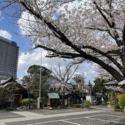 北条時頼の創建だそうです