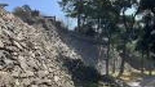 猫がたくさんいました