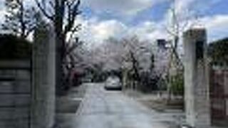 きれいに整備されていました