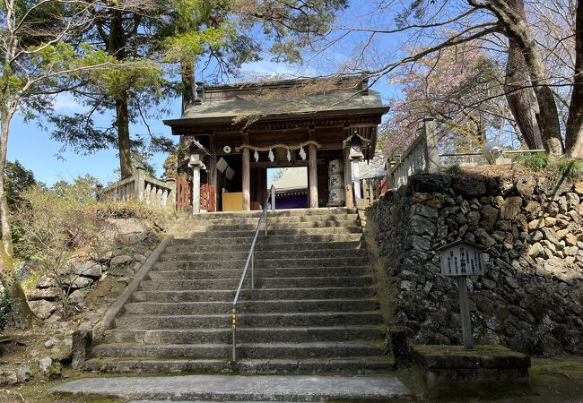 唐沢山城跡にあります