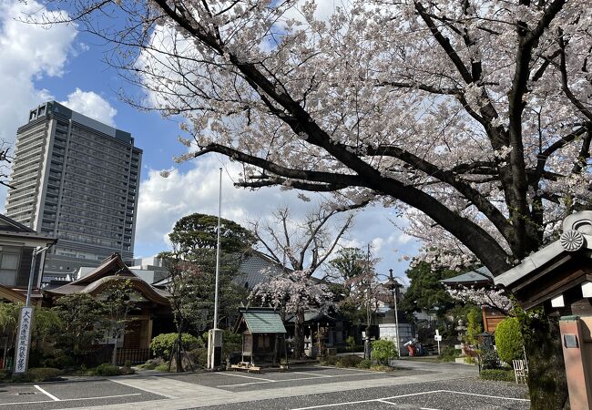 北条時頼の創建だそうです