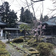 大きなお寺さんです