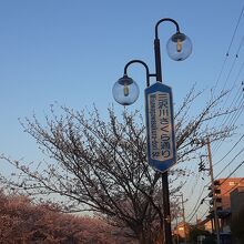 「三沢川さくら通り」の標識