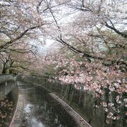 小滝橋近くから眺めました