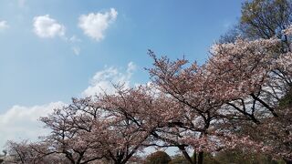 緑ヶ丘霊園