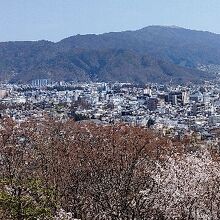 松本城や弘法山の桜が見られた