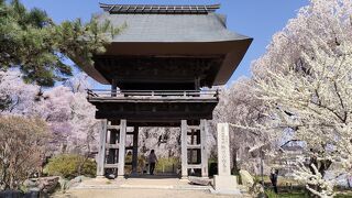 安養寺