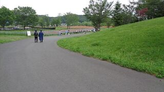 釜房湖の畔にある国営の公園