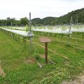 仙台秋保ワイナリー