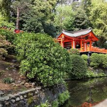 根津神社は外人さんにも観光スポット