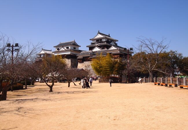 見どころ沢山