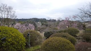 二階からの景色も楽しめます