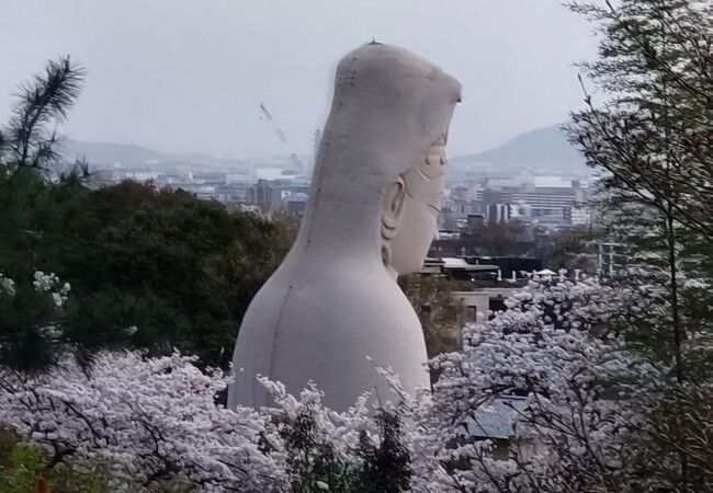 京都一大きい観音さん