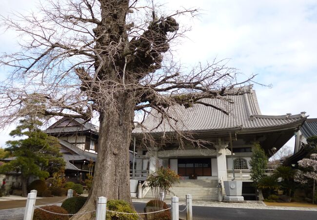 神崎寺