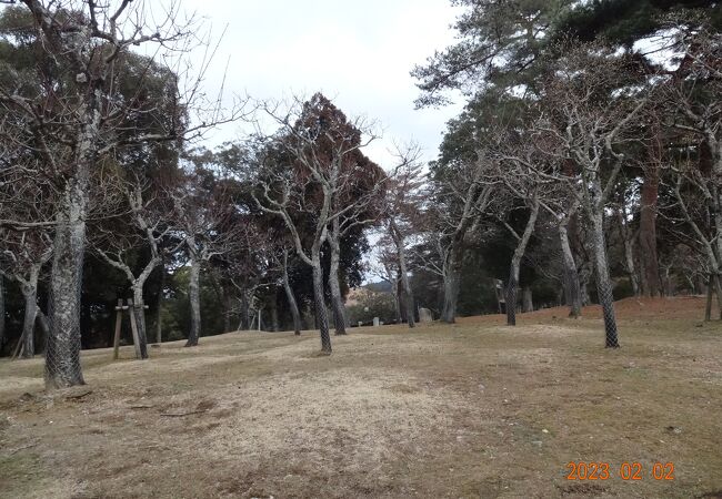 250本ほどの梅林だそうです。