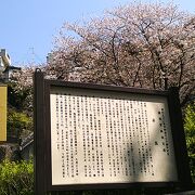 横須賀風物百選<平坂>の直ぐ後に[桜]が♪
