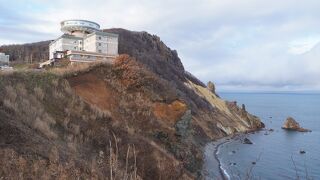 やっぱり見るのは夏がよさそうです