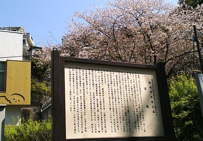 横須賀風物百選<平坂>の直ぐ後に[桜]が♪