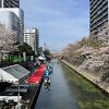 水の都 おおがき 舟下り