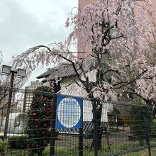 蔵前水の館