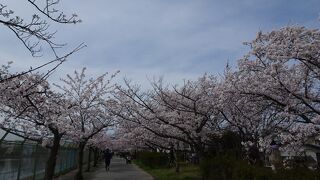 瑞ヶ池公園