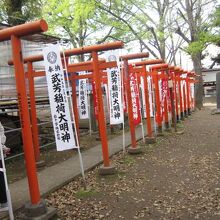 鳥居が並んでいました