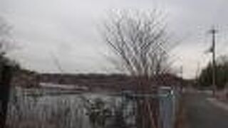 大きな池です。