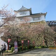 圧巻の津山城の桜まつり