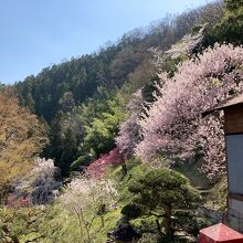 社殿からの眺め