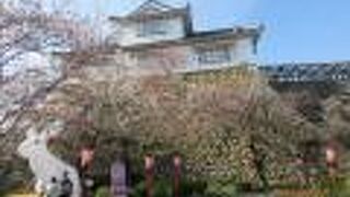 圧巻の津山城の桜まつり