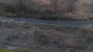 活用する価値はあります