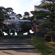 桜の名所にもなっている城址公園