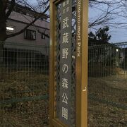 武蔵野の森公園