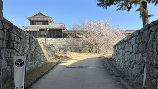 松山市内が一望出来ました