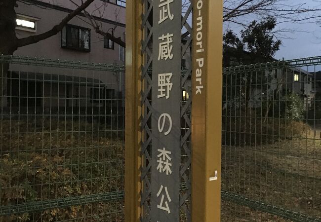 武蔵野の森公園