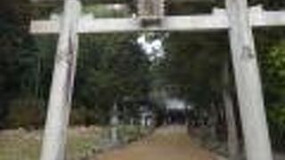 綺麗に境内が掃き清められていました。