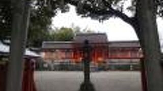 今年は、団体客が周辺を歩いていました。