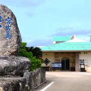 水族館では見られない、潮流に翻弄される魚たち！