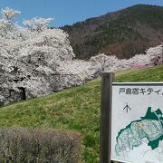 4月3日から3泊4日で長野県の桜巡り2件目