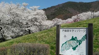 4月3日から3泊4日で長野県の桜巡り2件目