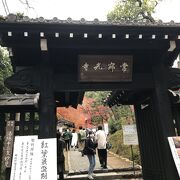 京都の紅葉を楽しむのであれば外せない場所
