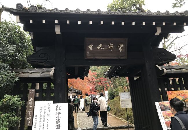 京都の紅葉を楽しむのであれば外せない場所